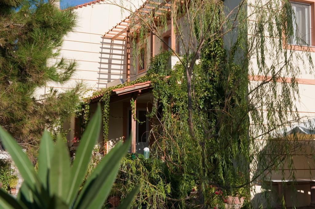 Volissos Zorbas Apartments מראה חיצוני תמונה