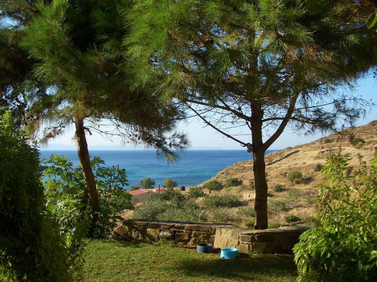 Volissos Zorbas Apartments מראה חיצוני תמונה