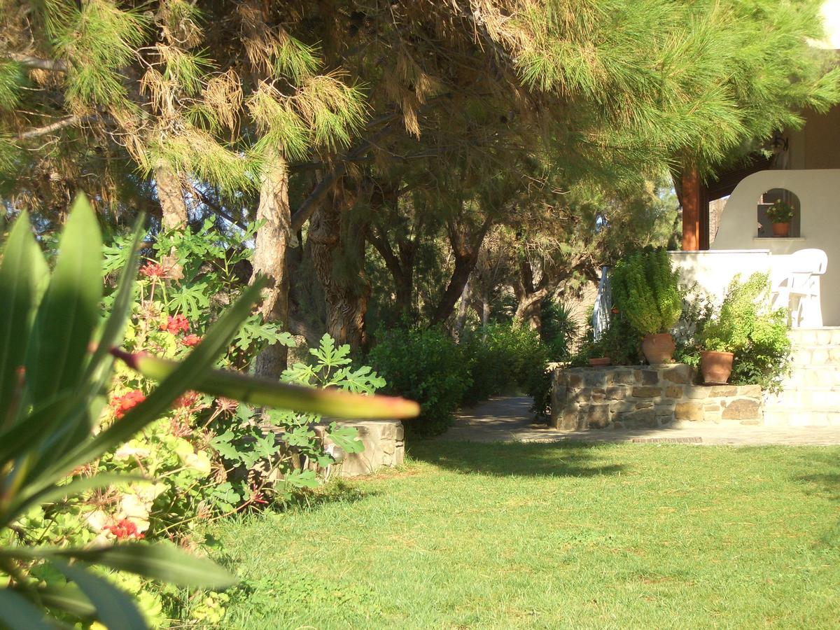 Volissos Zorbas Apartments מראה חיצוני תמונה