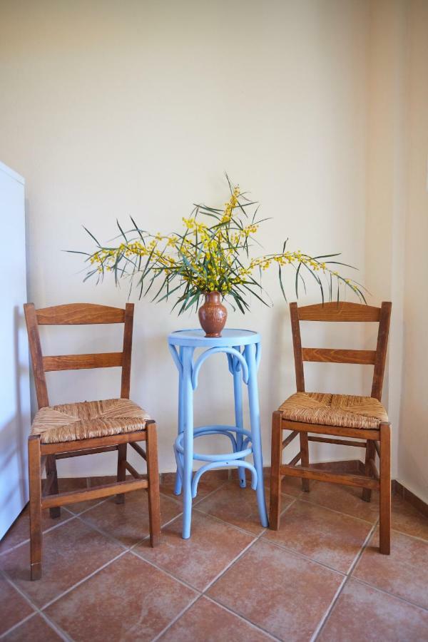 Volissos Zorbas Apartments מראה חיצוני תמונה