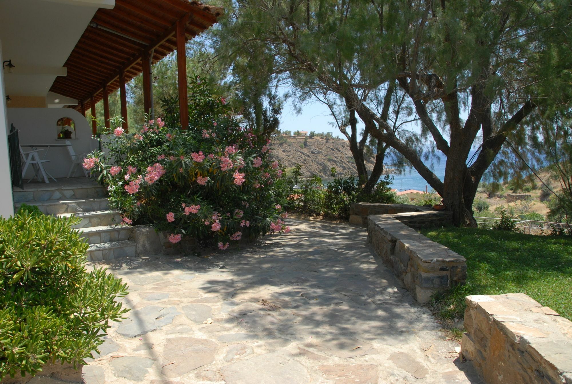 Volissos Zorbas Apartments מראה חיצוני תמונה