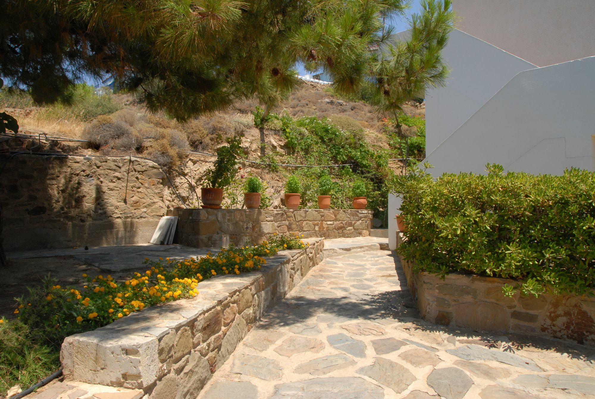 Volissos Zorbas Apartments מראה חיצוני תמונה